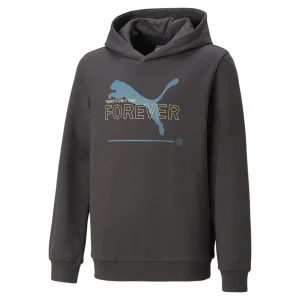Sudadera niño Puma ESS BETTER HOODIE TR gris oscuro