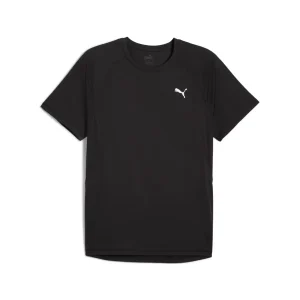 CAMISETA MANGA CORTA PUMA M RUN VELOCITY TEE (3 COLORES)