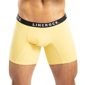 SALE Boxer Amarillo MS