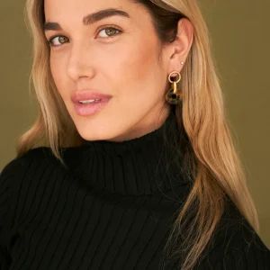 Pendientes combinados carey