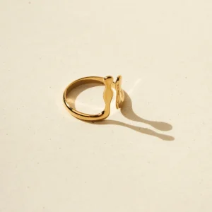Anillo gotas