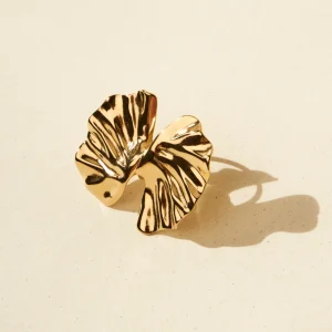 Anillo lazo