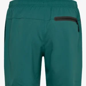 BAÑADOR PUMA SWIM HOMBRE MID SHORTS 4 COLORES