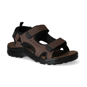 SANDALIA JHAYBER SARIO BROWN