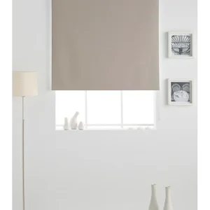 ZEBRA Stor Plain
