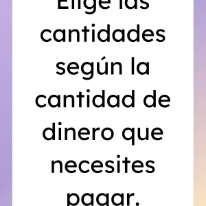 Acceso de Pago