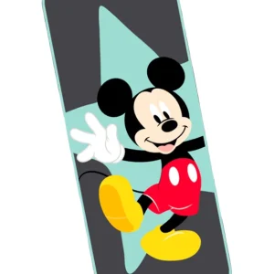 INTERBABY Disney Funda Carro
